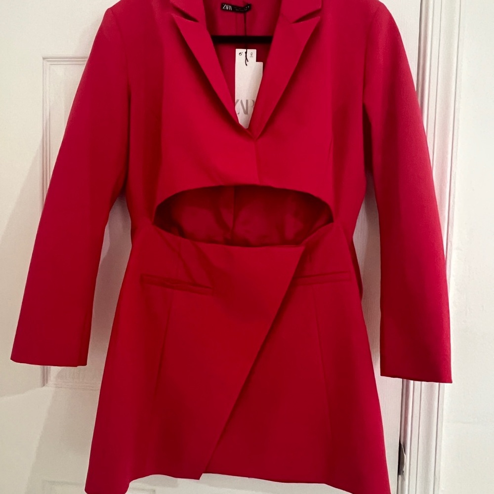 Zara Vibrant Pink Long Sleeve Dress